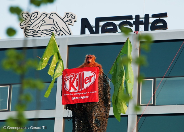 Paradise forests protection