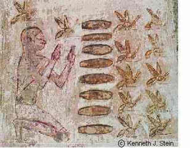 A beehive owner named Senchons wanted her donkey returned to her, so that she could move her hives into the pastures.