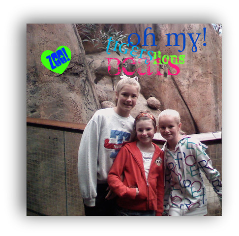 my cusins moved into shorwood