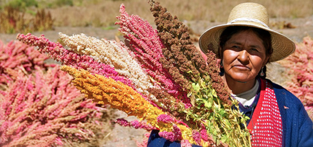 Los derechos derechos de cuarta generacion