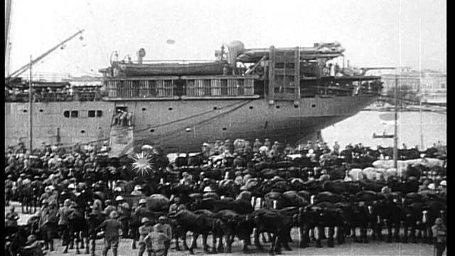 British Forces Arrive in Greece