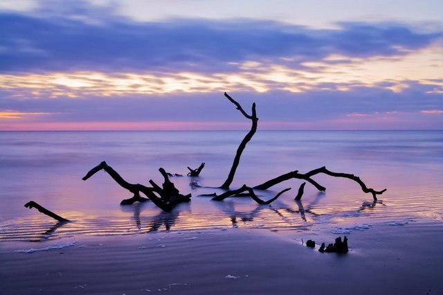 American Independence