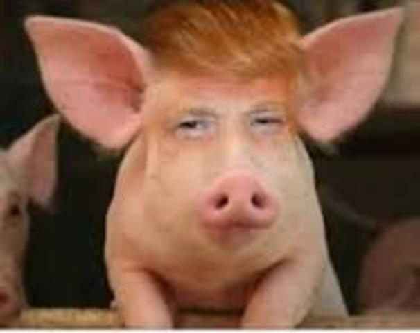 Trump runs for president