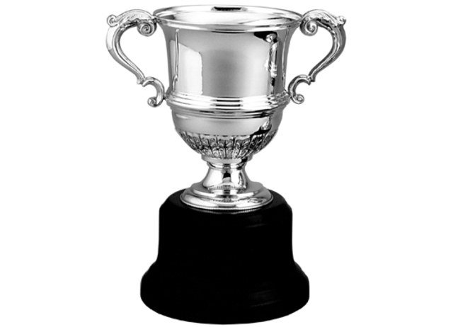 me gane un trofeo con mi equipo