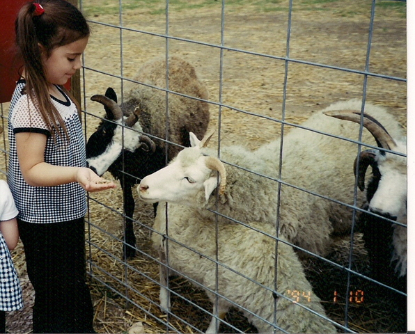 Old McDonalds Farm!!