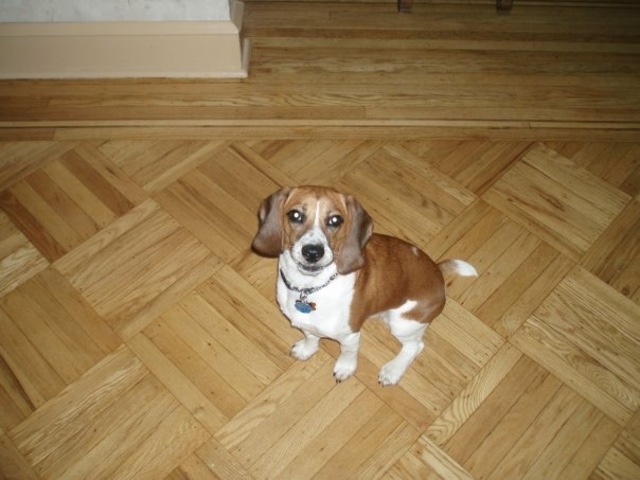 El venticinco de diciembre de dos mil ocho