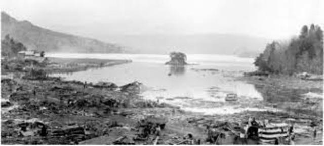 Tsunami and Earthquake Hits Japan