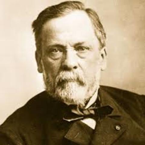 Pasteur