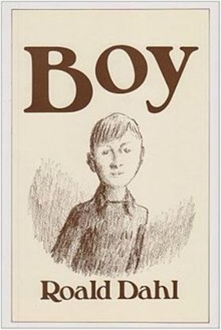 Boy: tales of childhood.