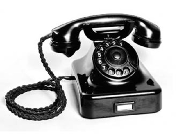 W48   Só evolução