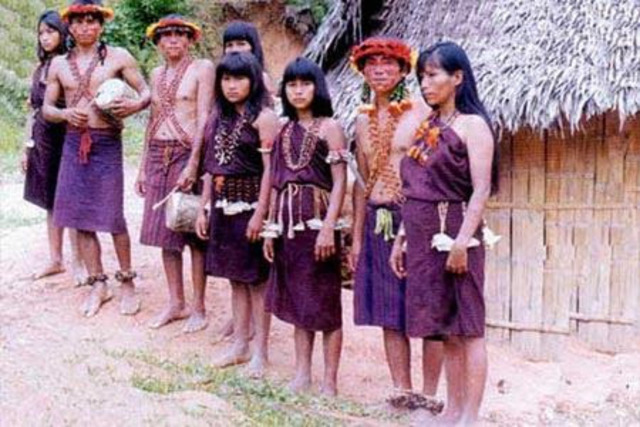 los cantos indígenas o amazónicos