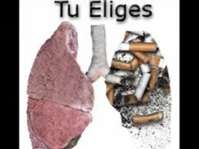 ¿Diferencias de las drogas?