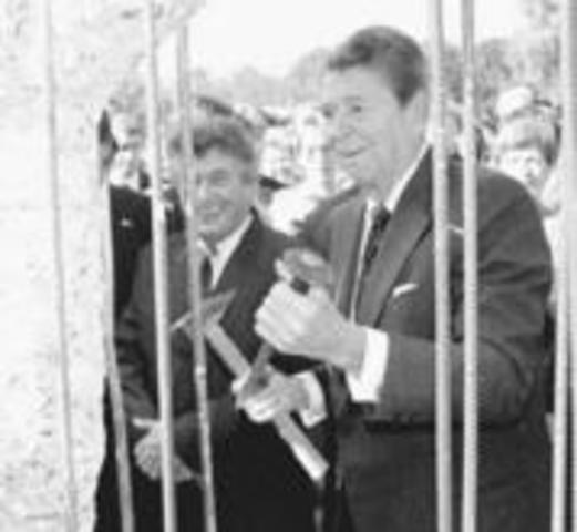 The Fall of the Berlin Wall