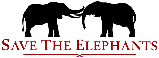 Save the Elephants was founded