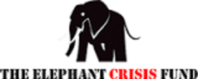 Elephant crisis fund launched