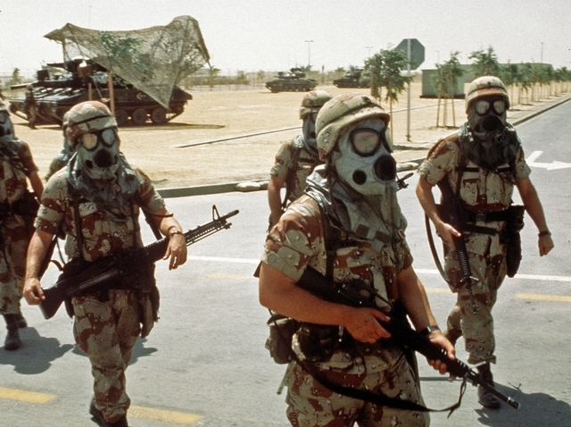 The Gulf War