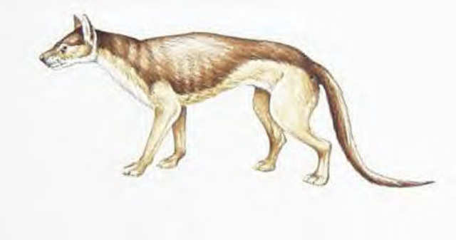 El perro de las turberas