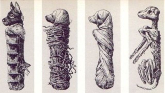 El perro en el Antiguo Egipto