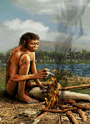 HOMO ERECTUS