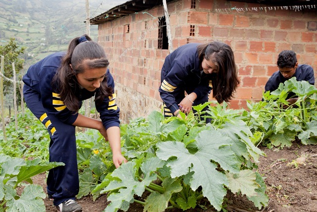 fui a Choachí para estudiar.
