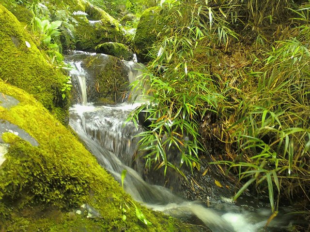 nuevo empleo de mi padre