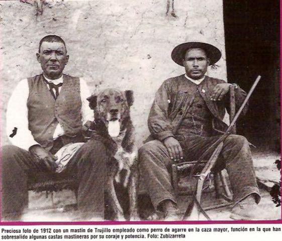 EVOLUCIÓN DE LOS PERROS.