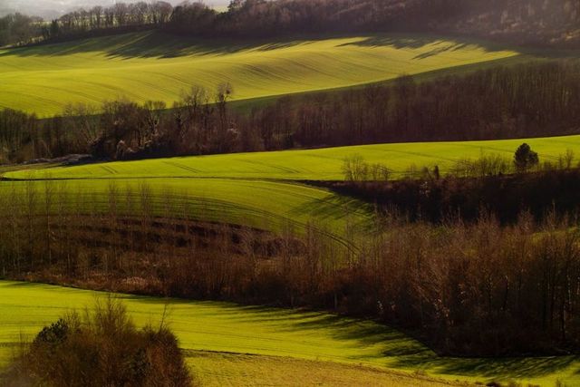 El primer paisaje en la guerra mundial