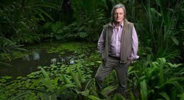 Nacimiento de Gaia Amazonas