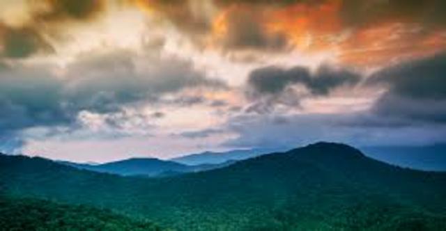 CREACION FUNDACION GAIA