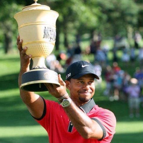 Tiger woods