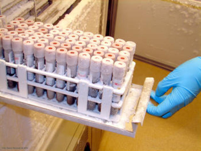 Comienza la investigación