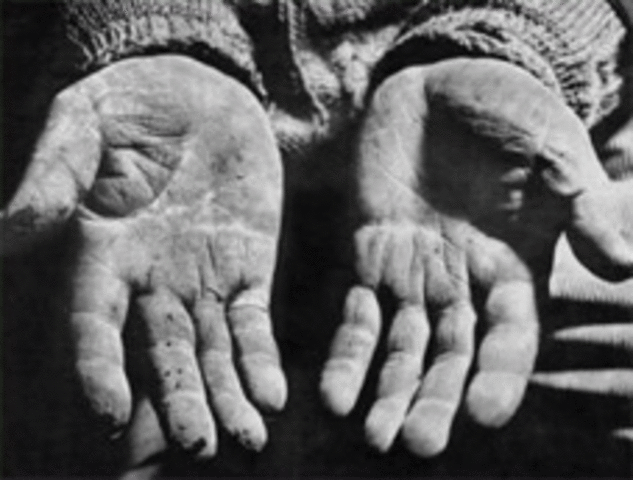 Paulo Freire se ocupó de los hombres y mujeres «no letrados»,