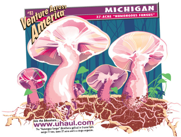 Age 4: The First move