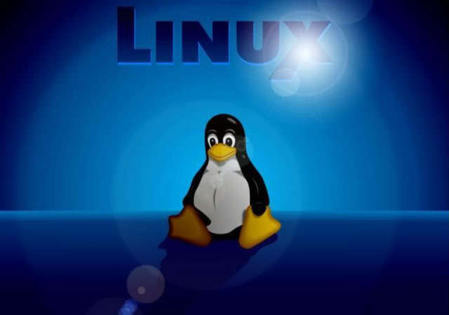 LINUX