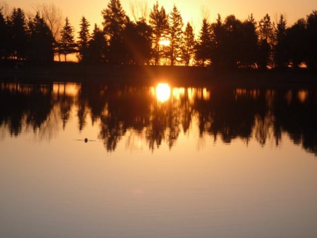 dale vida a  tus sueños