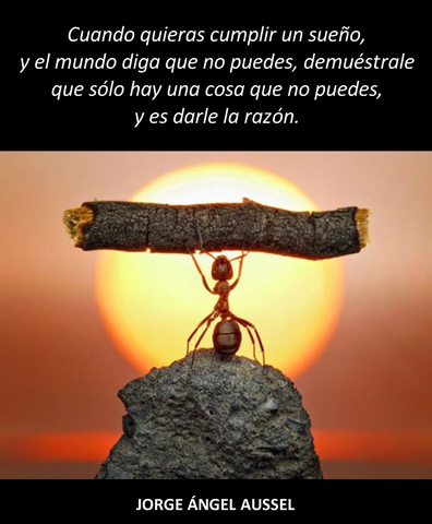 mi proyecto depende de mis sueños