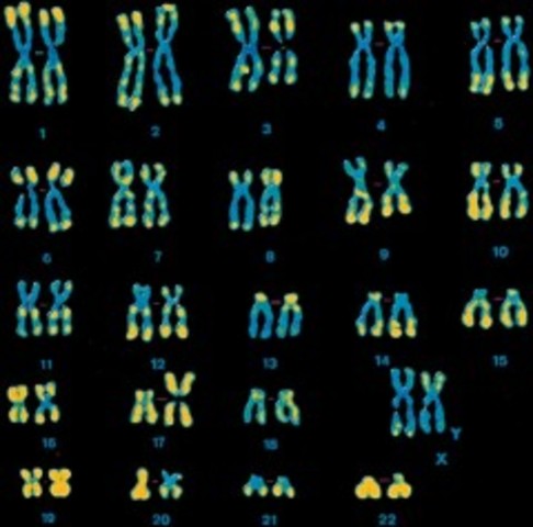 Biología y Genetica