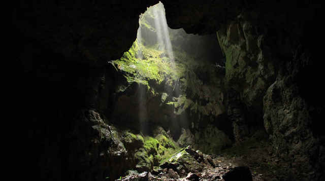 Parque Nacional Natural Cueva de los Guácharos