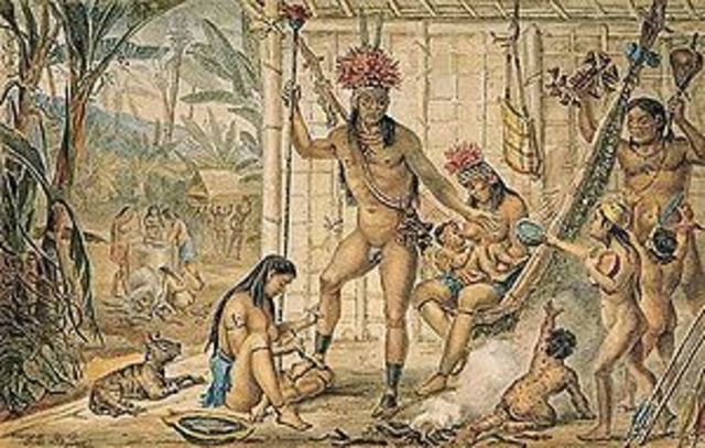 Organización indígena