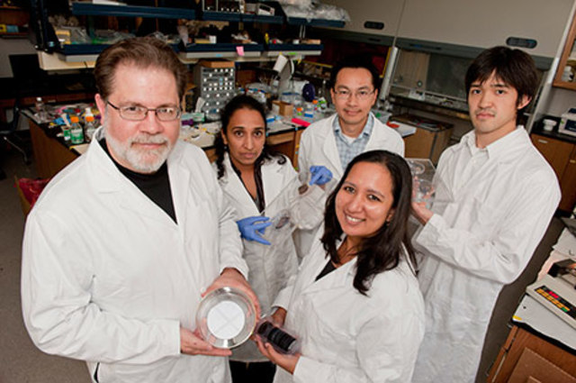 Baterías de nanotubos de ion-litio