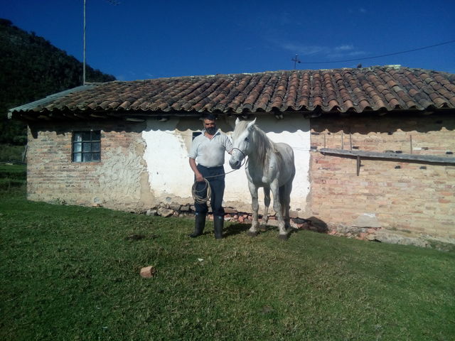 Luis Fernando Rodriguez