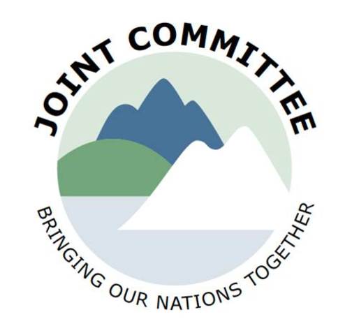 Joint Committee