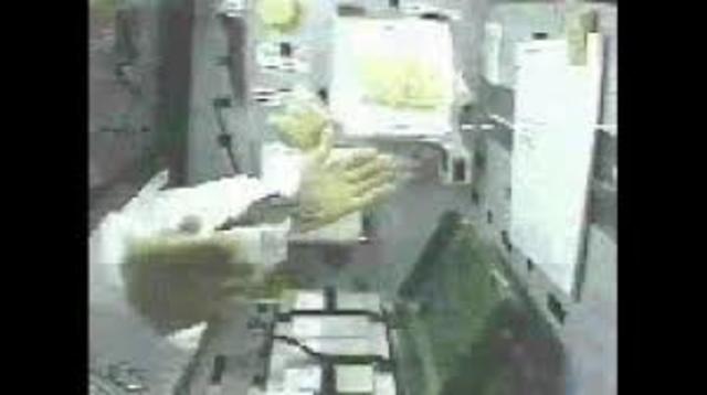 las ranas en el espacio