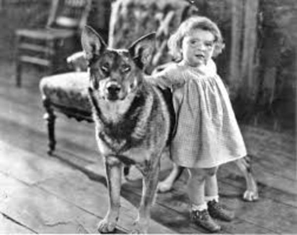 Como llega el perro al hombre, o al contrario?