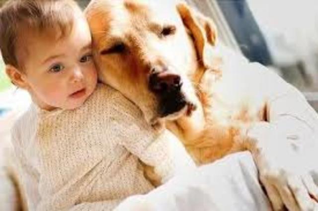 Convivencia con el humano