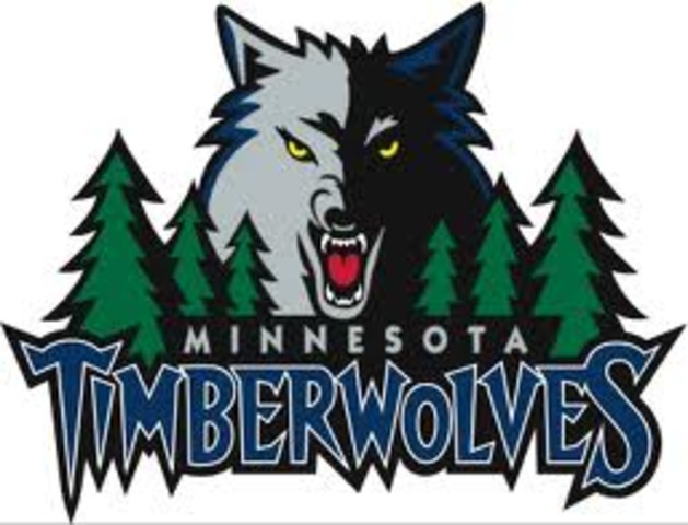 went to a Timberwolves  game