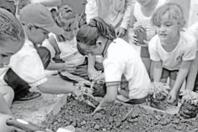 Técnicas de Freinet