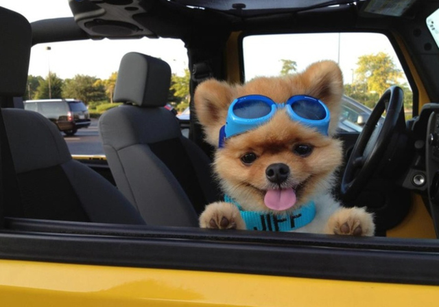 Japan's First Colony