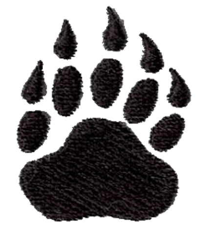 Started middle school