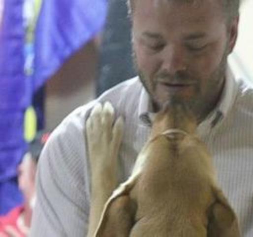 Lessening PTSD Symptoms